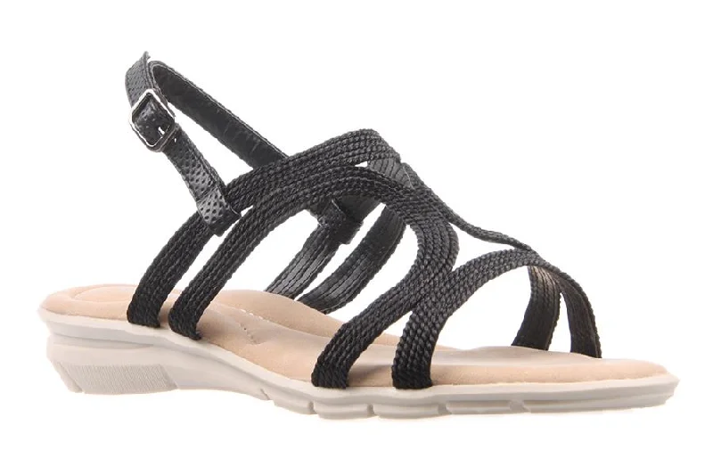 New In This Season FIVE BLACK